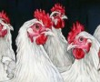 10 Kippen Kunstwerk 10 Kippen