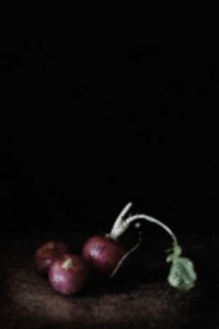 Stills#01 Stills#01