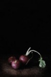 Stills#01 Stills#01