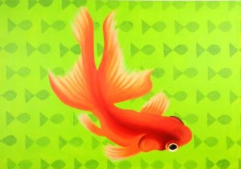 Goudvis Goudvis