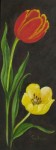 bloemstilleven: Rode en gele tulp bloemstilleven: Rode en gele tulp
