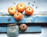 appels met bijen en hommel