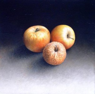 levenscyclus levenscyclus