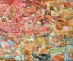 gevangen en opgehokt Kunstwerk gevangen en opgehokt