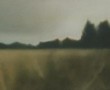 bosrand Kunstwerk bosrand