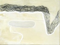Whale a drift Whale a drift