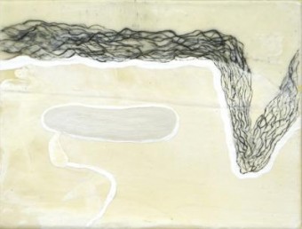 Whale a drift Whale a drift