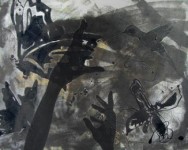 Kolibri Kolibri