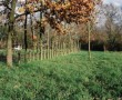 Het bestemmingsplan Het bestemmingsplan