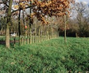 Het bestemmingsplan Het bestemmingsplan