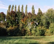 Het bestemmingsplan Het bestemmingsplan