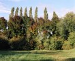 Het bestemmingsplan Kunstwerk Het bestemmingsplan