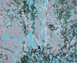 1 uit serie van 16, titel serie Natura Digita Kunstwerk 1 uit serie van 16, titel serie Natura Digita