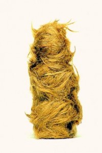 haar kabouter haar kabouter