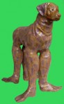 Hond2 Hond2