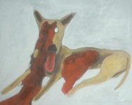 hond hond