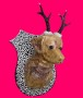 Trofee hond Kunstwerk Trofee hond