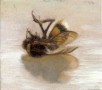Bombus terrestris Kunstwerk Bombus terrestris