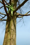 nr 1 uit de afstudeer serie: 'als ik groot ben, lieve beer...' nr 1 uit de afstudeer serie: 'als ik groot ben, lieve beer...'
