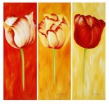 SUNNY TULIPS trio SUNNY TULIPS trio