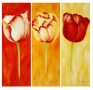 SUNNY TULIPS trio Kunstwerk SUNNY TULIPS trio