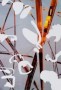 frag-momenten Kunstwerk frag-momenten