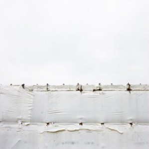 white white