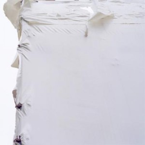 white white