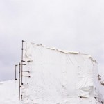 white white
