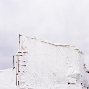 white white