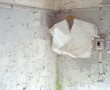 white Kunstwerk white