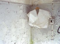white white