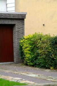 zonder titel zonder titel