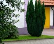 zonder titel Kunstwerk zonder titel