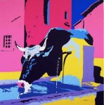 cow drinking at fountain cow drinking at fountain