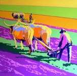 plowing oxen