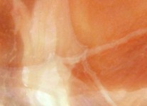 Caress (video, 02'00'') Caress (video, 02'00'')