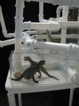 dinosauruniverse dinosauruniverse