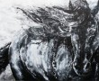 black pearl Kunstwerk black pearl