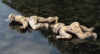 Klimmende figuren Klimmende figuren