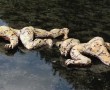 Klimmende figuren Kunstwerk Klimmende figuren