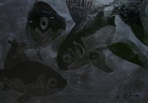 Fish On Dots Fish On Dots