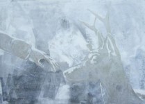 Mei Deer Mei Deer