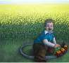 Koolzaad Kunstwerk Koolzaad