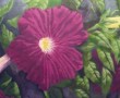 Kunstwerk petunia