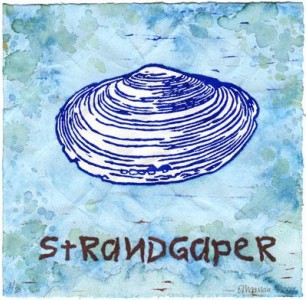 Strandgaper