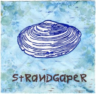 Strandgaper Strandgaper