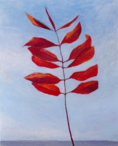 Rood blad Rood blad