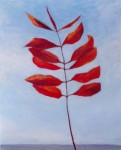 Rood blad Rood blad