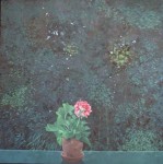 'Geranium in vensterbank' 'Geranium in vensterbank'